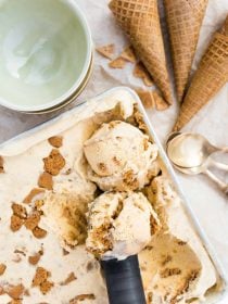 Pumpkin No-Churn Ice Cream