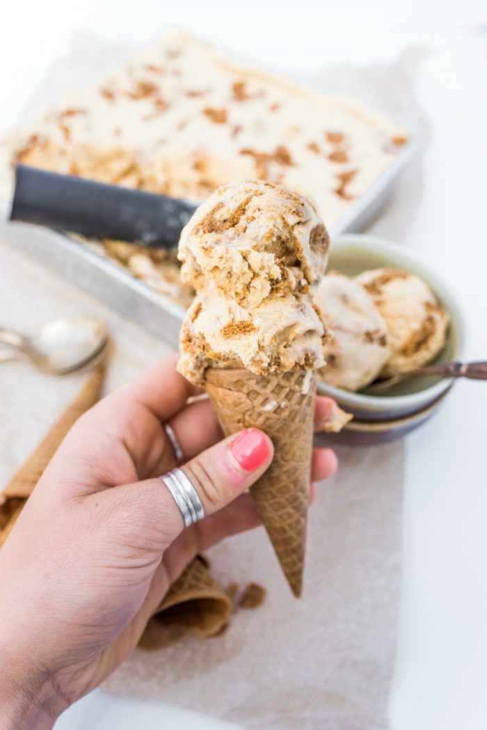 BEST Pumpkin No-Churn Ice Cream