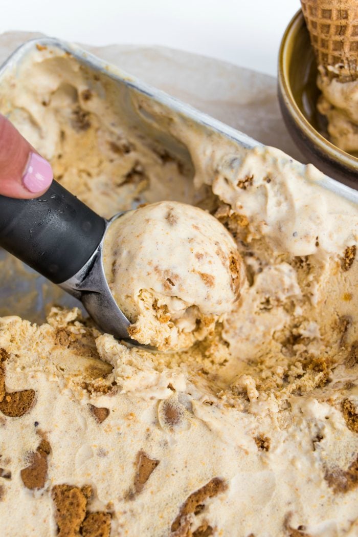 BEST Pumpkin No-Churn Ice Cream Recipe