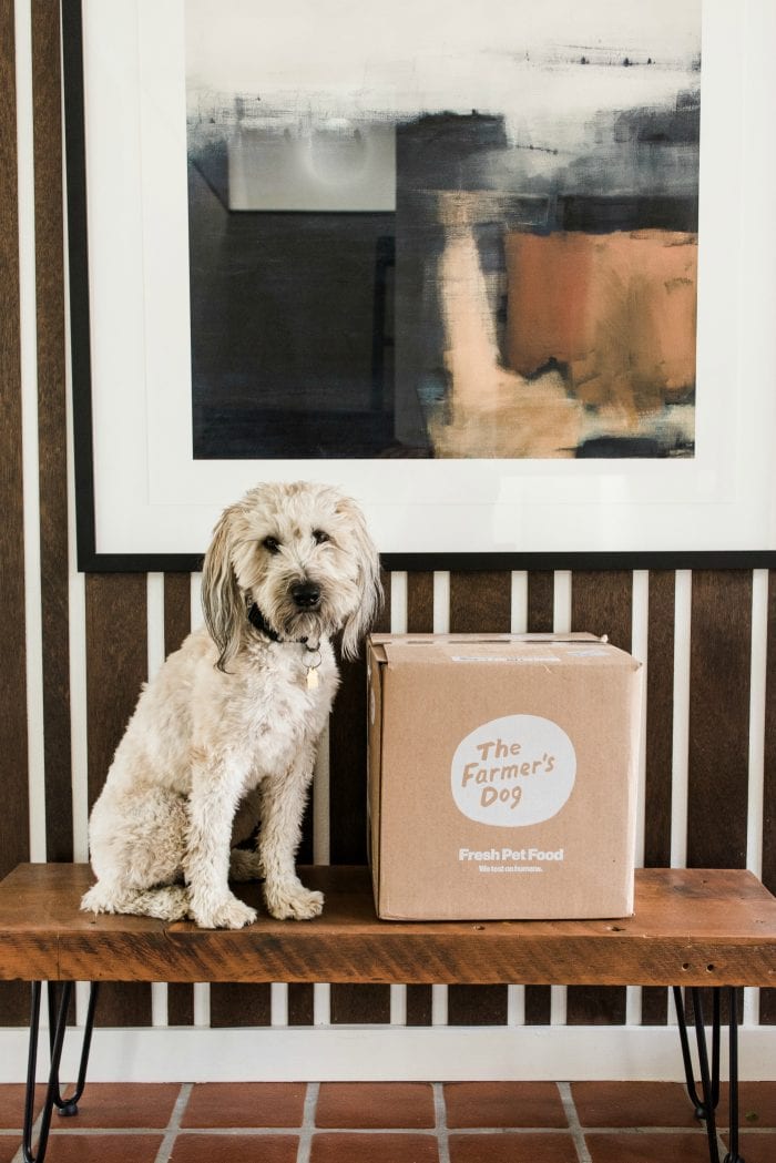 whoodle puppy sitting by a box of dog food