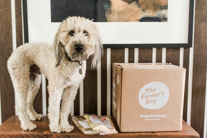 Whoodle pup standing next to a large box of Farmer's Dog Food