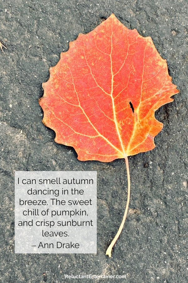 fall leaf with ann drake quote