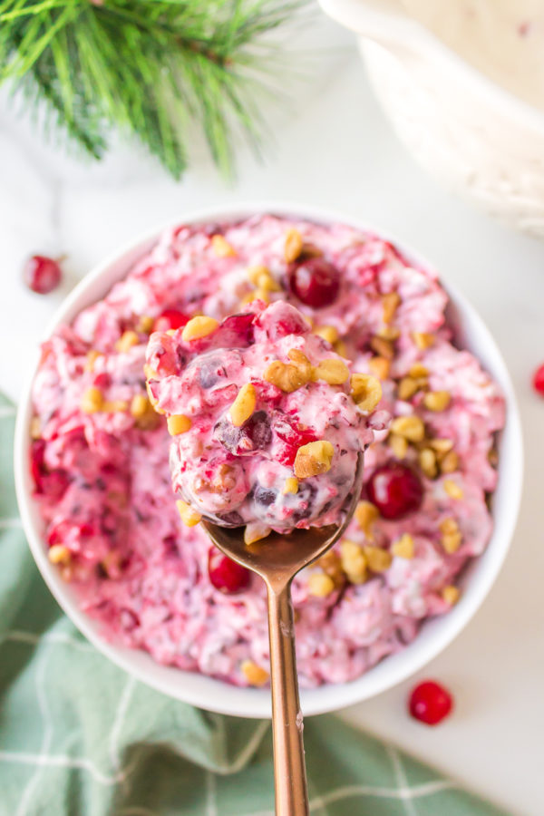 spoonful of Cranberry Salad with Walnuts