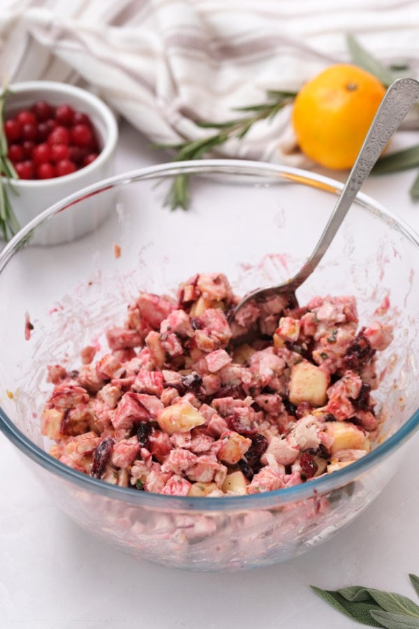 trukey cranberry mixture