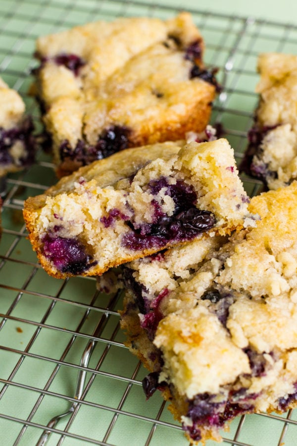 plump Blueberry Kuchen