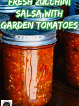 Fresh Zucchini Salsa with Garden Tomatoes