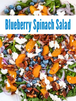 Blueberry Spinach Salad