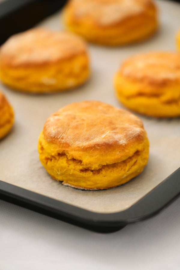 Best Pumpkin Biscuits on baking sheet