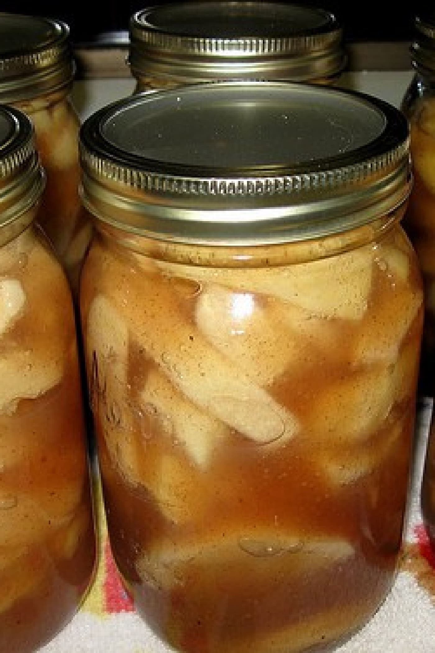 https://reluctantentertainer.com/wp-content/uploads/2021/10/canned-Apple-Pie-in-a-Jar-Recipe.jpeg