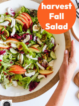 harvest fall salad