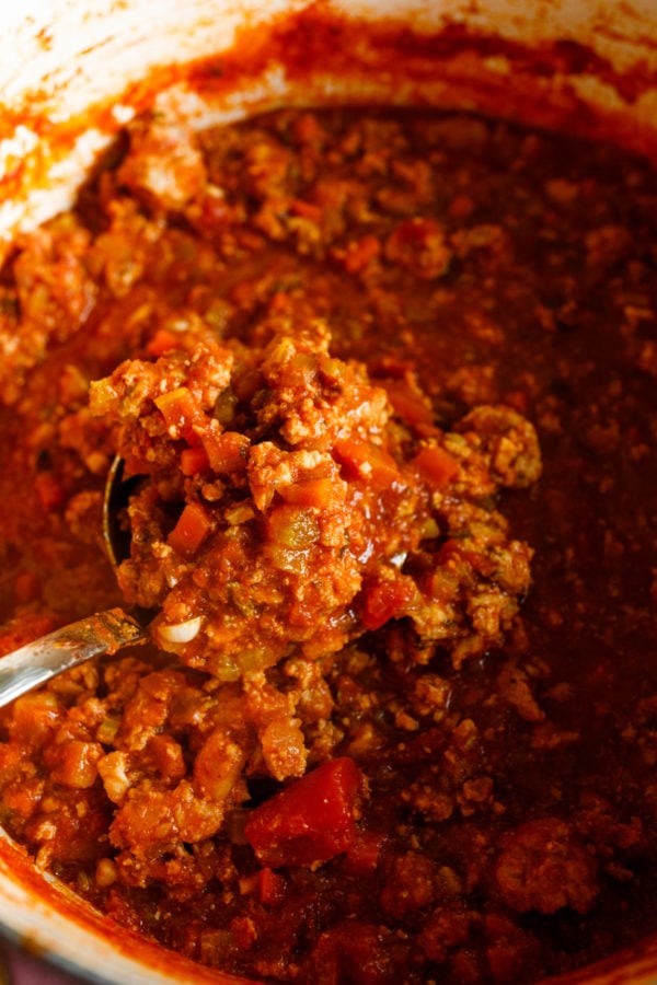 A spoonful of red sauce with ground chicken