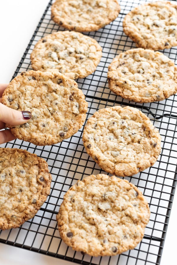 holding a Chocolate Chip Toasted Coconut Cookie