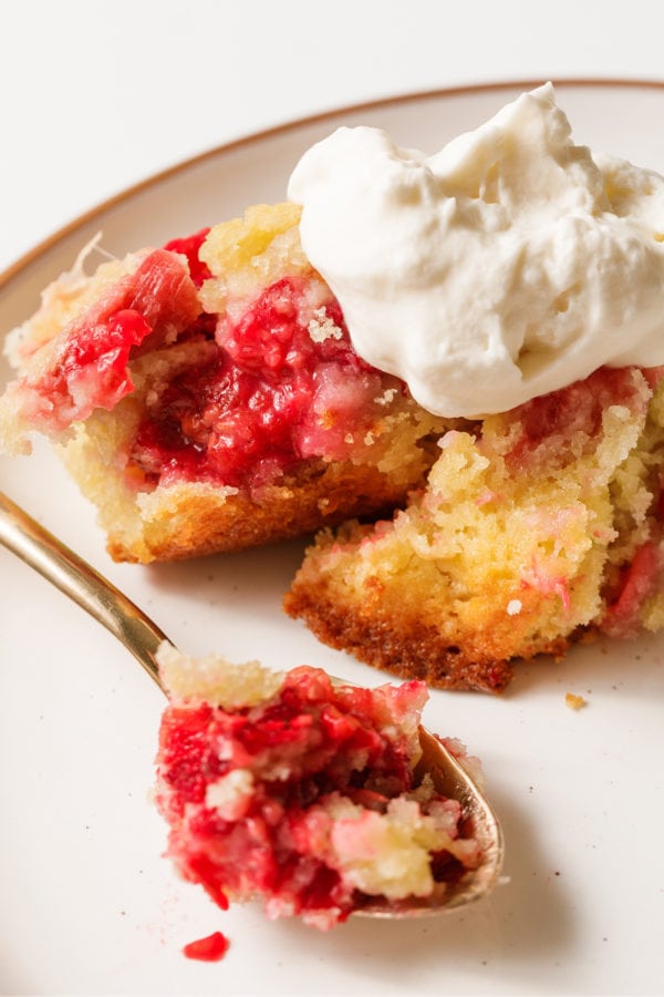 serving of Raspberry Rhubarb Buttermilk Cake