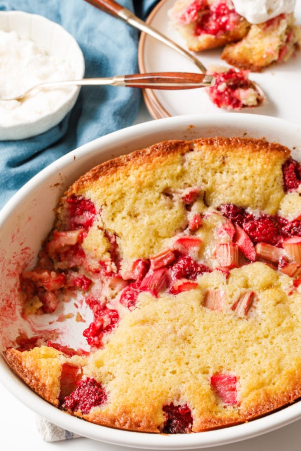 serving of Raspberry Rhubarb Buttermilk Cake