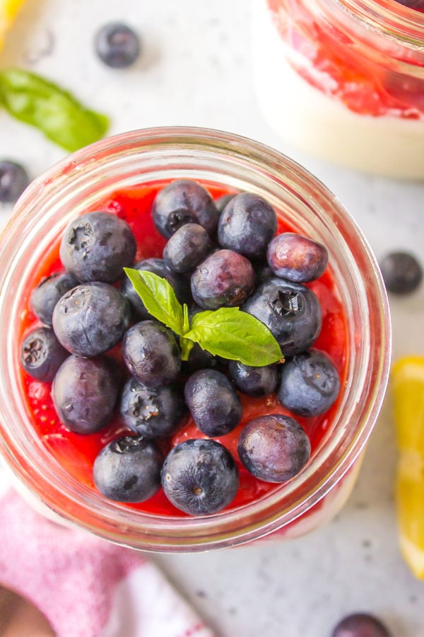 beautiful blueberries on Panna Cotta