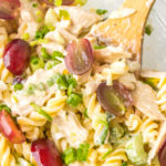 red grapes chicken pasta salad