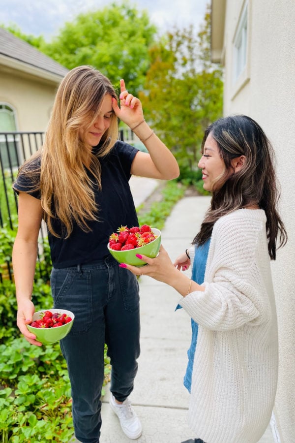 picking fresh strawberries