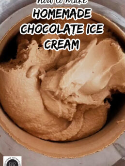 Homemade Chocolate Ice Cream