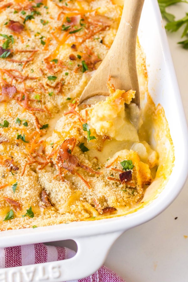 hot cheesy gratin