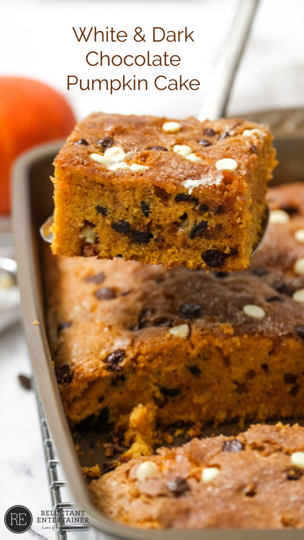 a serving of White and Dark Chocolate cake with pumpkin