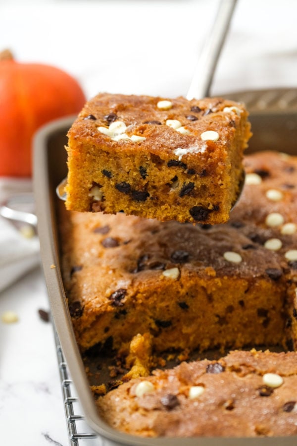 cutting a piecec of pumpkin cake