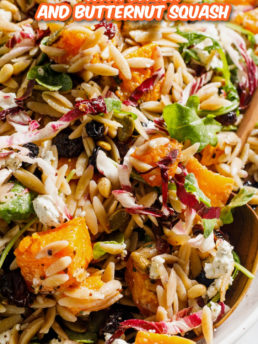 squash lemon with orzo