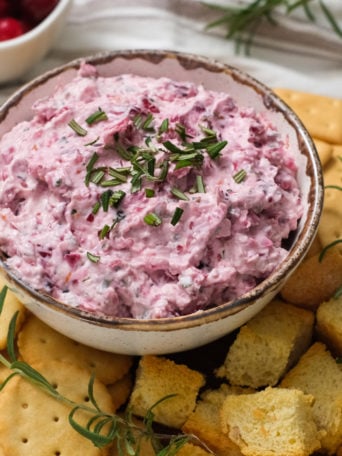 round bowl of Cranberry Dip