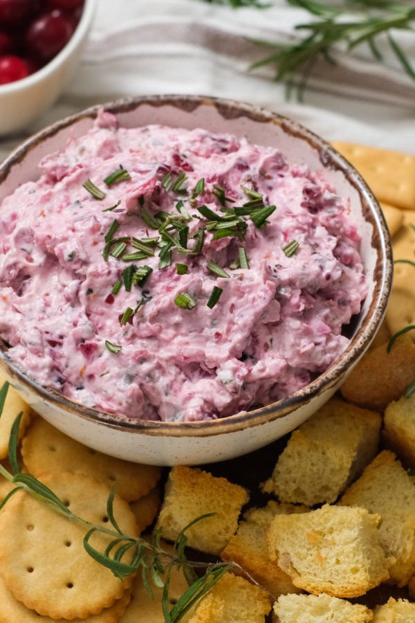 round bowl of Cranberry Dip