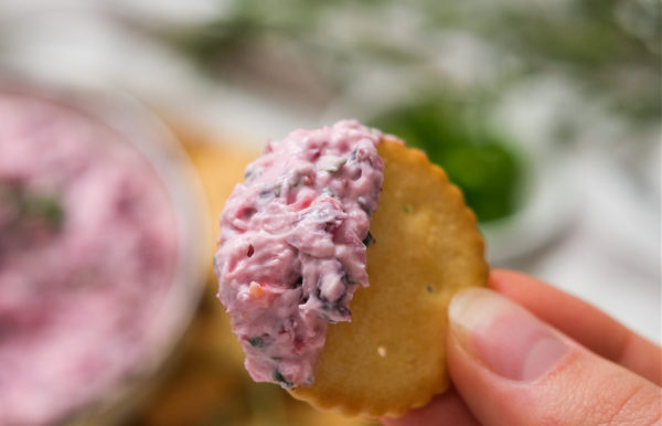 a bite of Cranberry Jalapeno Dip