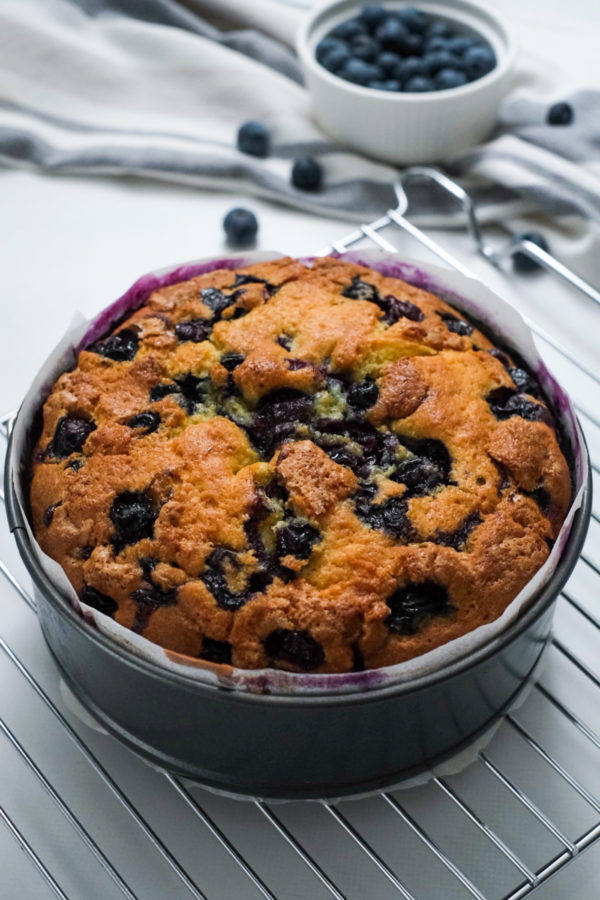 Sour Cream Blueberry Cake in springform pan