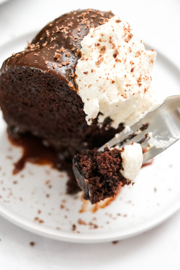 bite of Chocolate Pudding Bundt Cake