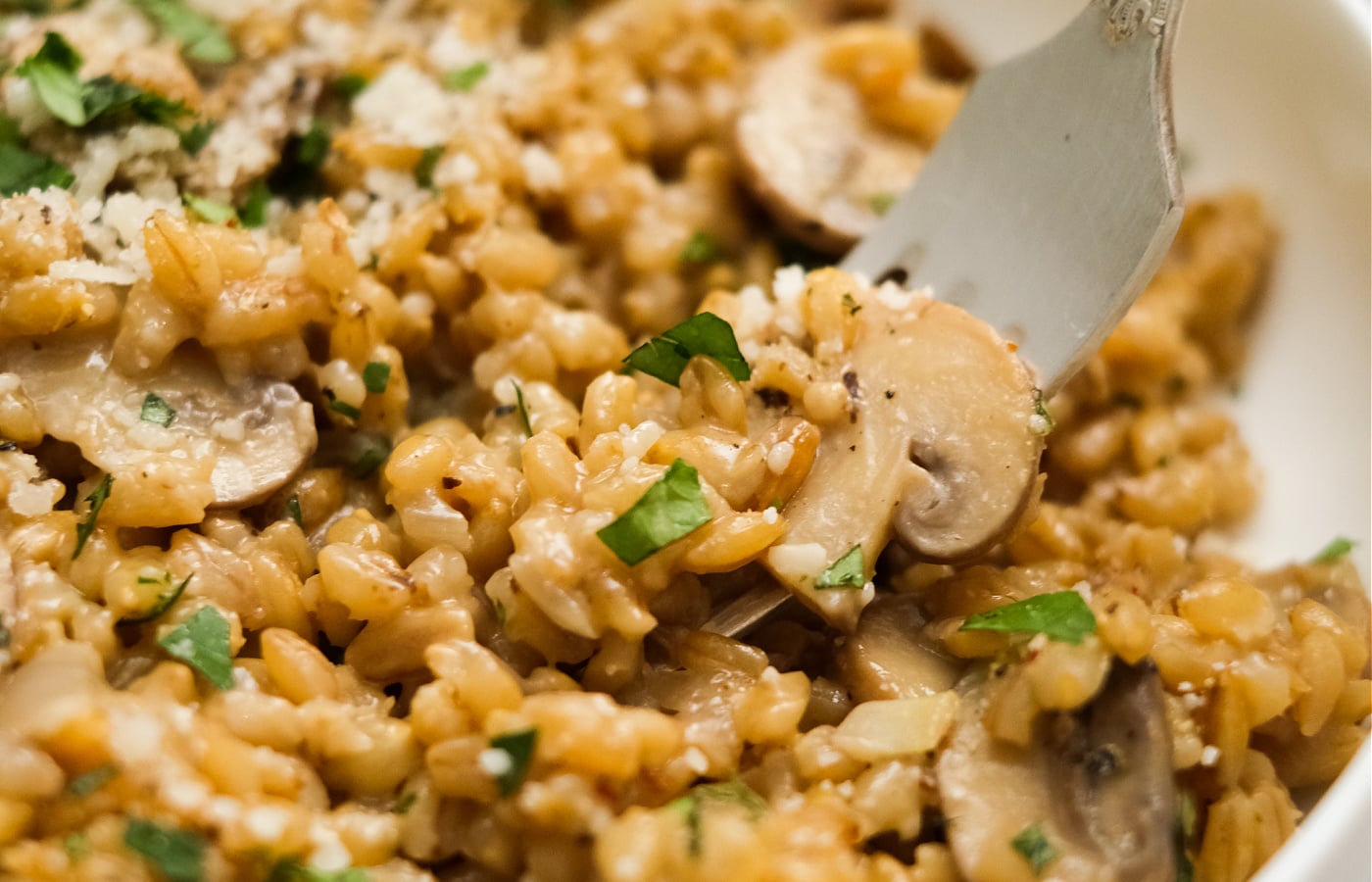 Mushroom Farrotto Reluctant Entertainer