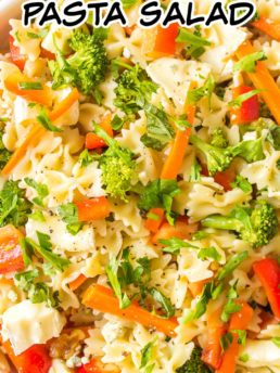 fresh veggies pasta salad