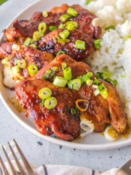 a plate of chicken and rice with green onions