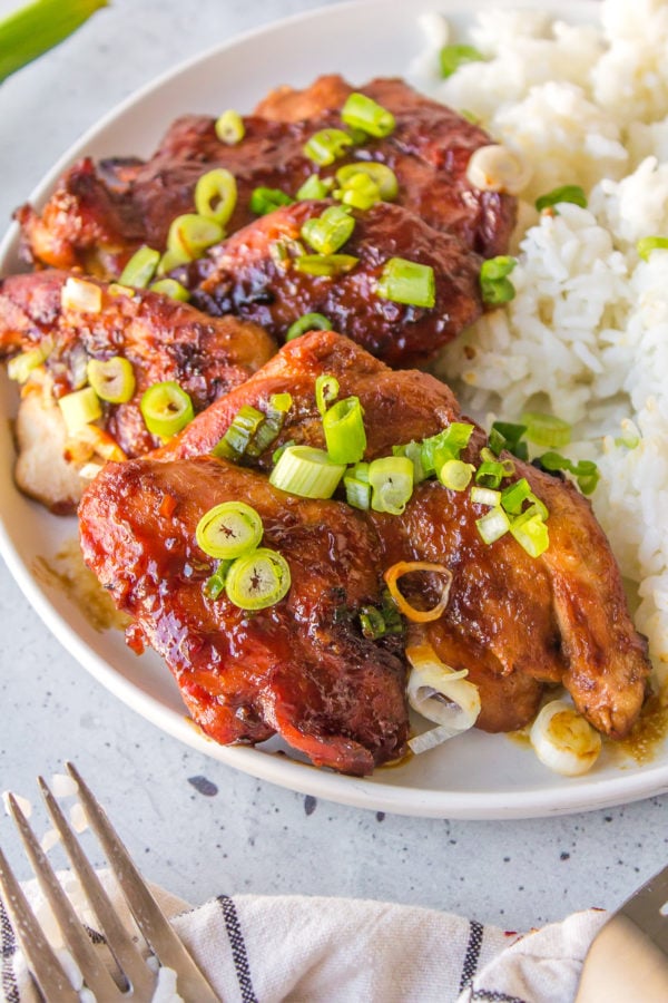 a plate of chicken and rice with green onions