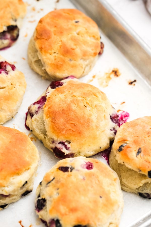 baked biscuits