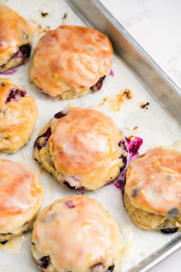 Biscuits made with blueberries