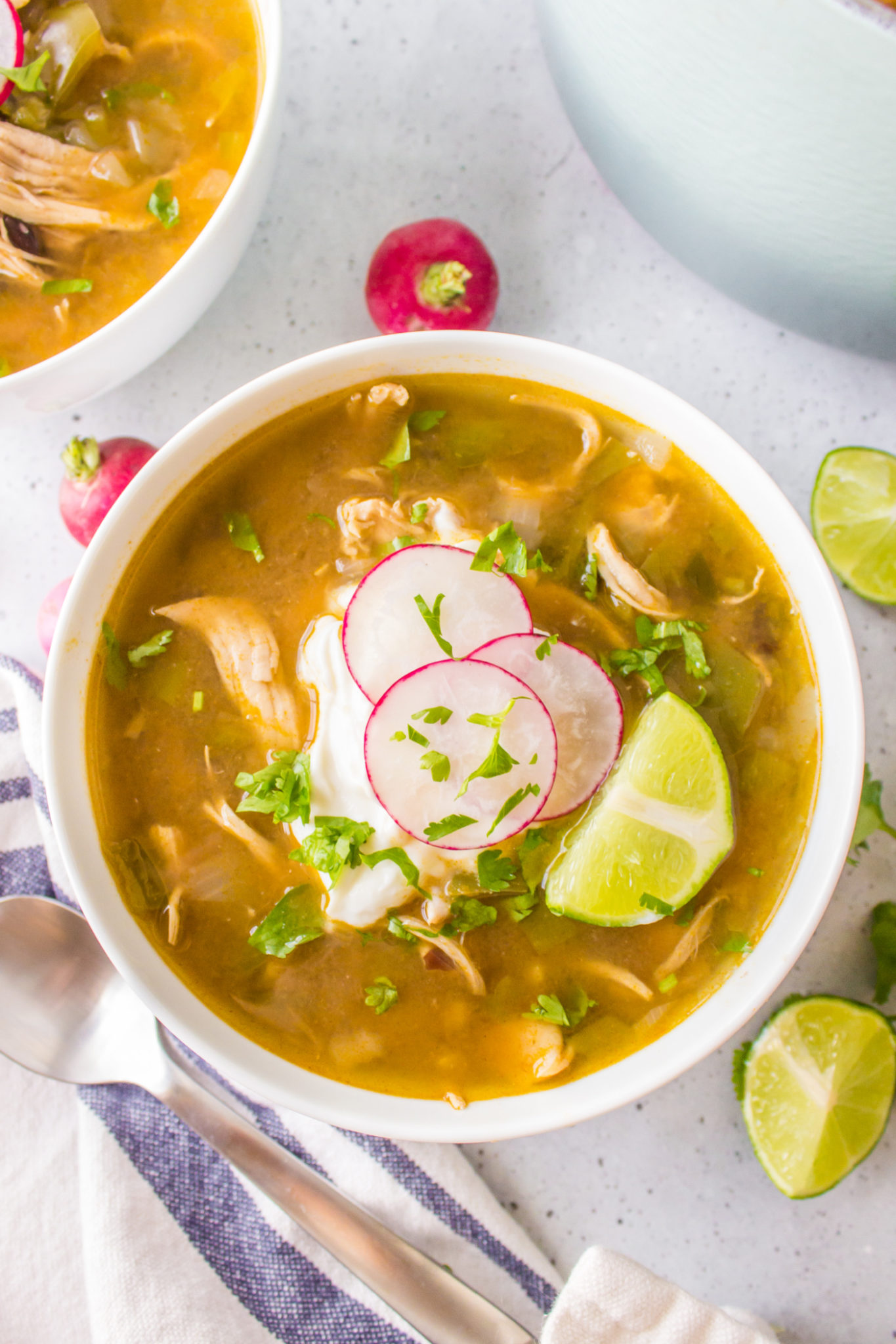 Green Chili Chicken Soup Reluctant Entertainer