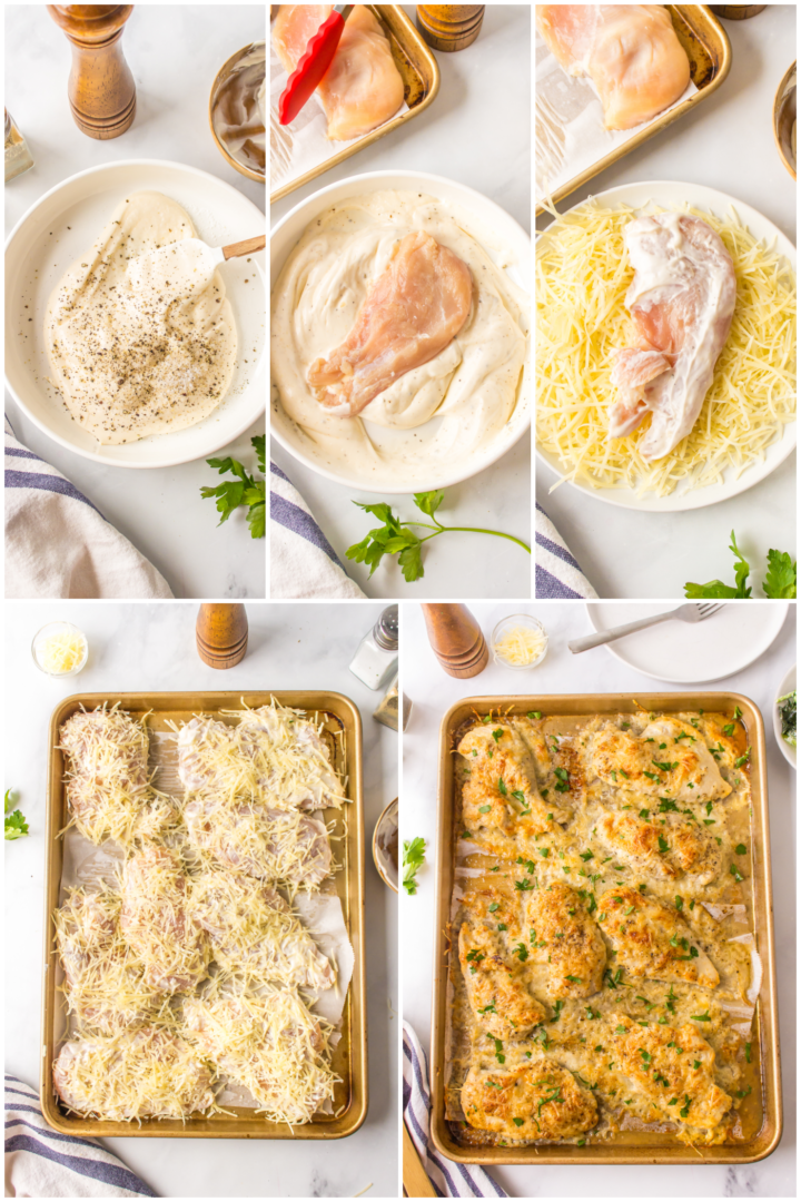 Mayo-Parmesan Crusted Chicken - Reluctant Entertainer