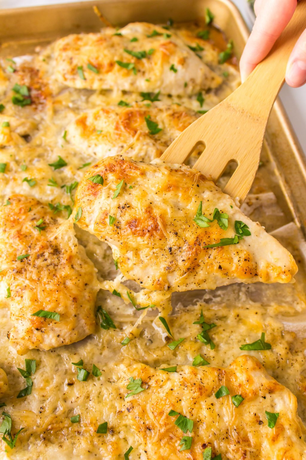 Mayo-Parmesan Crusted Chicken - Reluctant Entertainer