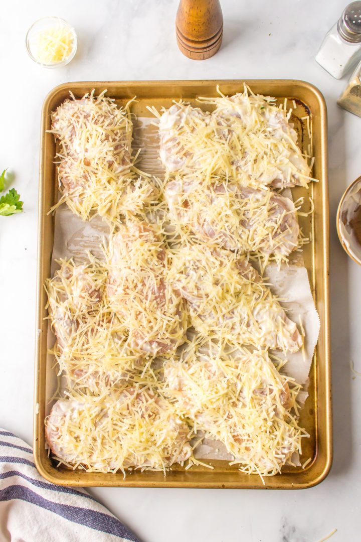 Mayo-Parmesan Crusted Chicken - Reluctant Entertainer