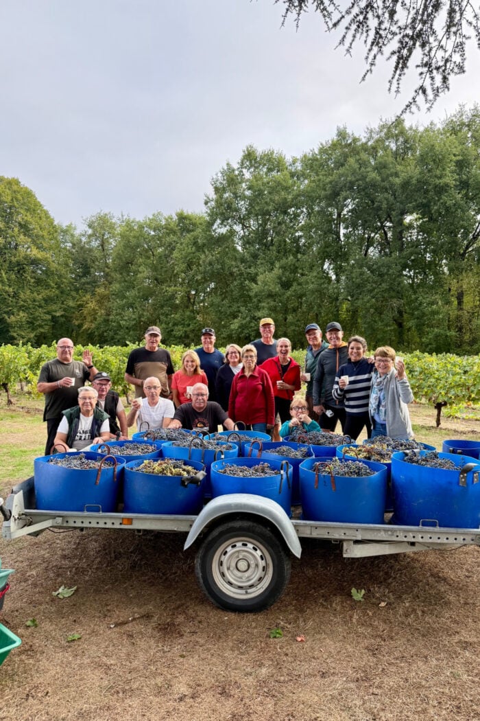 Harvesting grapes at Château de Valcreuse in the Loire Valley, France