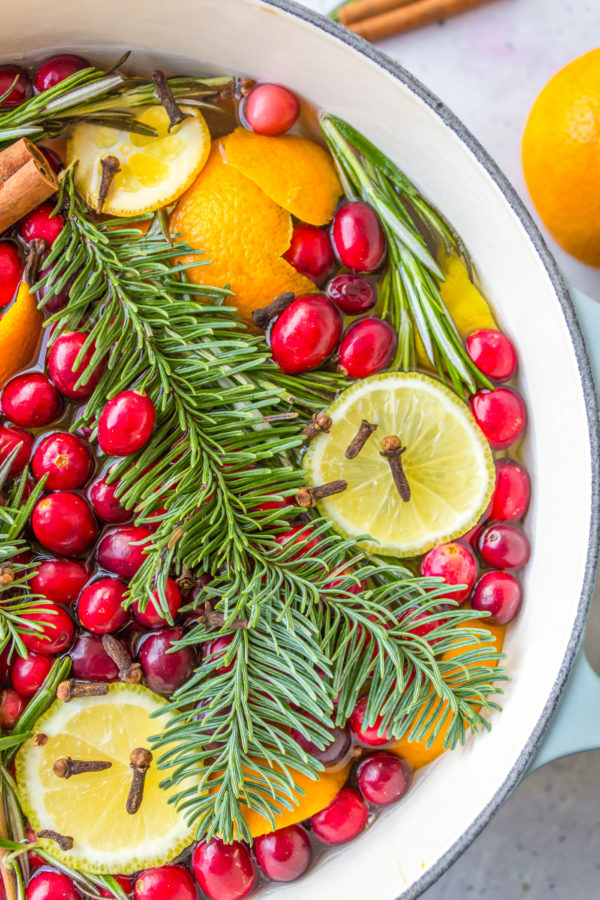 Christmas Simmer Pot (Holiday Stovetop Potpourri) - Aileen Cooks