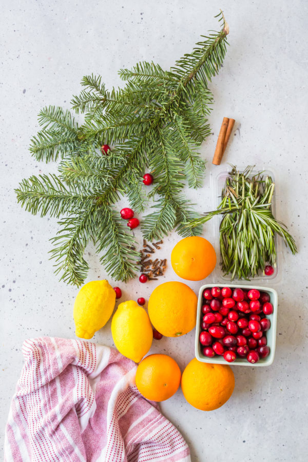 ingredients to make Christmas Simmer Pot