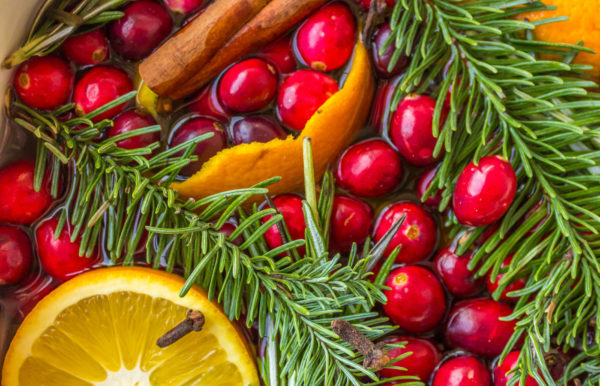 orange peel in Christmas Simmer Pot