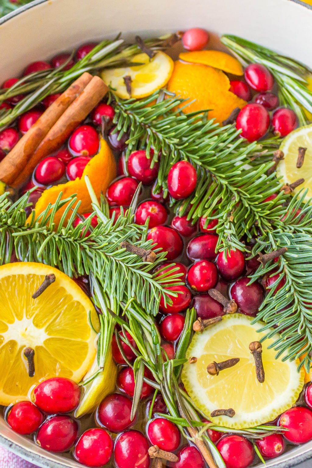 Christmas Simmer Pot - Reluctant Entertainer