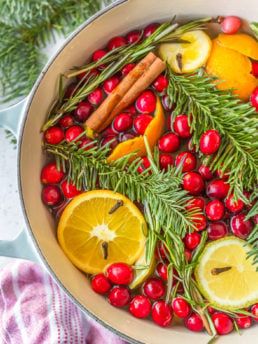 Christmas Simmer Pot (Holiday Stovetop Potpourri) - Aileen Cooks