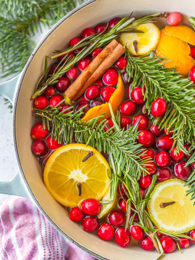 Christmas Simmer Pot - Reluctant Entertainer