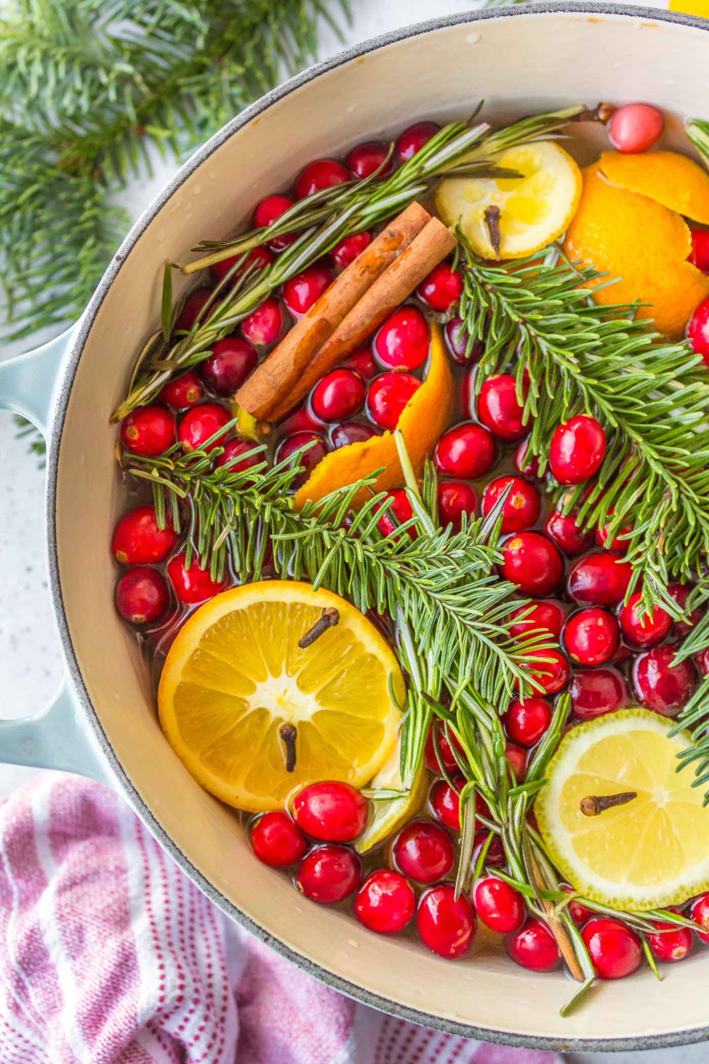 Easy Christmas Simmer Pot Recipe For A Cozy Holiday - Midwest Life and  Style Blog