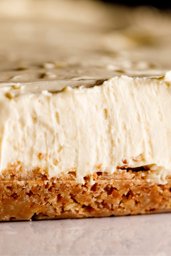 creamy cheesecake with crust